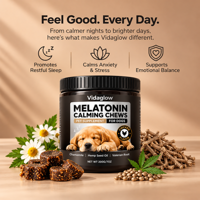 Melatonin Calming Chews for Dogs – Sleep Aid